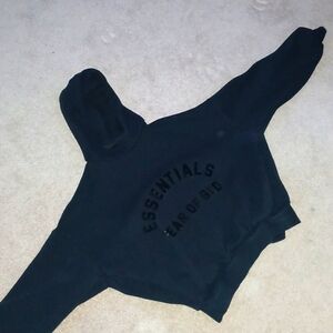 Mens Essentials Hoodie